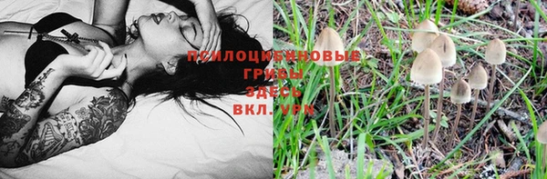 бутират Аркадак