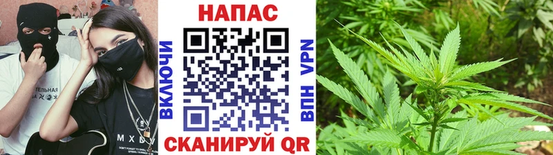 Шишки марихуана MAZAR Суворов